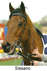 Sissano (14872 bytes)