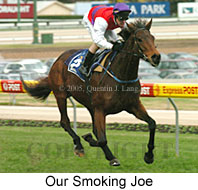 Our Smoking Joe (14872 bytes)