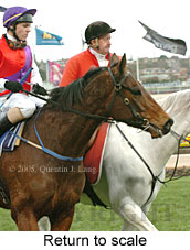 Return to scale (14872 bytes)