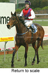 Return to scale (14872 bytes)