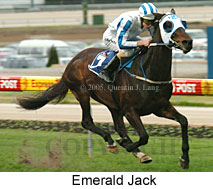 Emerald Jack (14872 bytes)