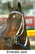 Emerald Jack (14872 bytes)