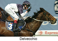 Delvecchio (14872 bytes)