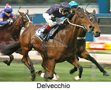 Delvecchio (14872 bytes)