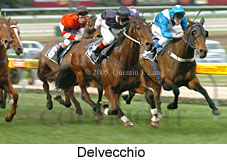 Delvecchio (14872 bytes)