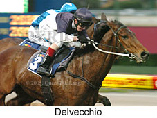Delvecchio (14872 bytes)