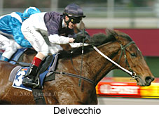Delvecchio (14872 bytes)