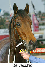 Delvecchio (14872 bytes)