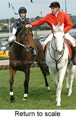 Return to scale (14872 bytes)