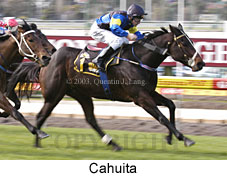 Cahuita (16505 bytes)