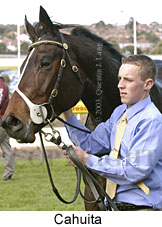 Cahuita (15330 bytes)