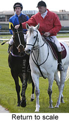 Return to scale (14904 bytes)