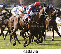 Kattavia (18353 bytes)