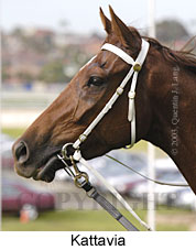 Kattavia (13251 bytes)