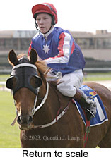 Return to scale (12420 bytes)