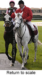 Return to scale (13911 bytes)