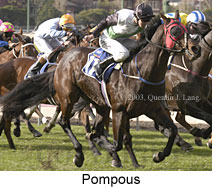 Pompous (19360 bytes)