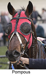 Pompous (13332 bytes)