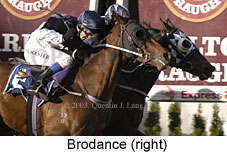 Brodance (15977 bytes)