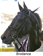 Brodance (11318 bytes)