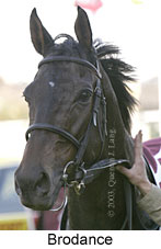 Brodance (9680 bytes)