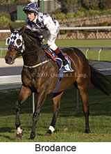 Brodance (14384 bytes)