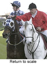 Return to scale (13442 bytes)