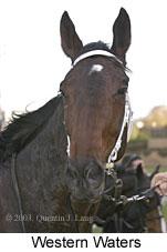 Western Waters (8996 bytes)