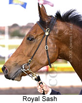 Royal Sash (12955 bytes)