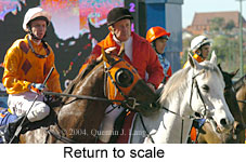 Return to scale (15060 bytes)