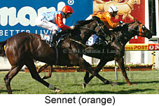 Sennet (19357 bytes)