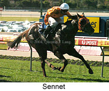 Sennet (18100 bytes)