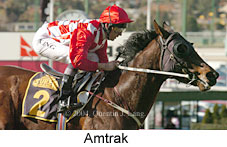 Amtrak (18100 bytes)