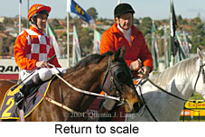 Return to scale (15060 bytes)