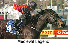 Medieval Legend (19357 bytes)