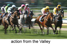 action (19357 bytes)