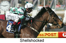 Shellshocked (19357 bytes)