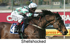 Shellshocked (19357 bytes)