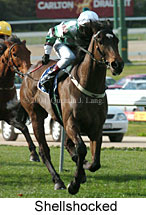 Shellshocked (19357 bytes)