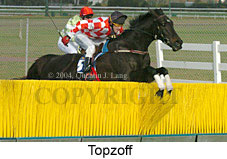 Topzoff (19357 bytes)