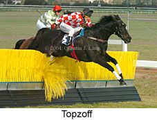 Topzoff (15465 bytes)