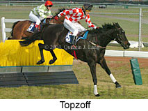 Topzoff (19357 bytes)