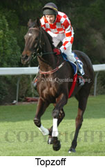 Topzoff (19357 bytes)