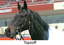 Topzoff (19357 bytes)