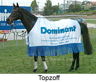 Topzoff (19357 bytes)