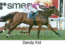 Dandy Kid (19357 bytes)