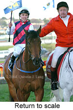 return to scale (19357 bytes)