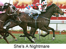 She's A Nightmare (19357 bytes)