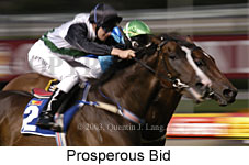 Prosperous Bid (13278 bytes)