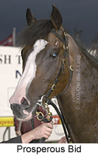 Prosperous Bid (10265 bytes)